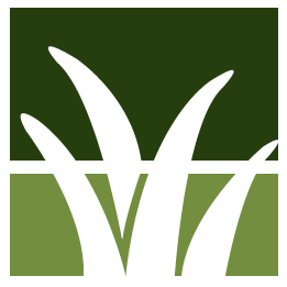 Mckinney Lawn Clean Up