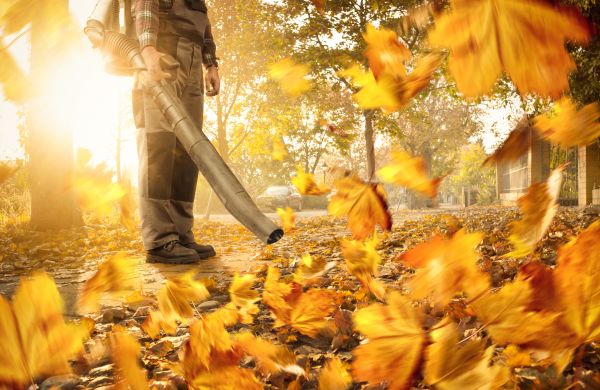 Cost of Leaf Blowing Service in Mckinney