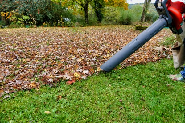 Cost of Leaf Vacuuming Service in Mckinney