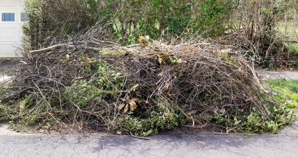 Cost of Tree Limb Cleanup in Mckinney