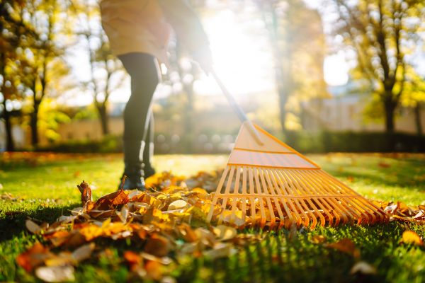 Cost of Leaves Raking in Mckinney
