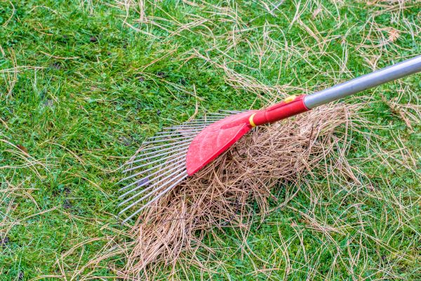 Cost of Yard Raking in Mckinney