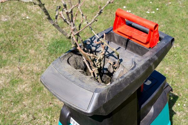 Cost of Brush Cleanup Service in Mckinney