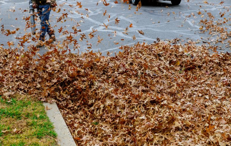 Leaf Blowing Process